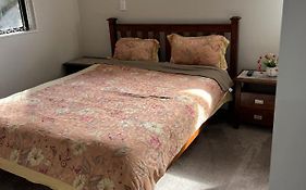 Guest Suite - Cosy Place In The Wattle Downs